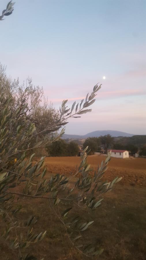Ponte Felcino Agriturismo Villalta מראה חיצוני תמונה