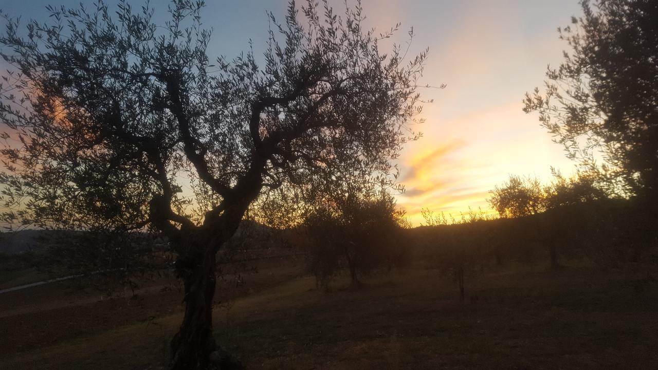 Ponte Felcino Agriturismo Villalta מראה חיצוני תמונה
